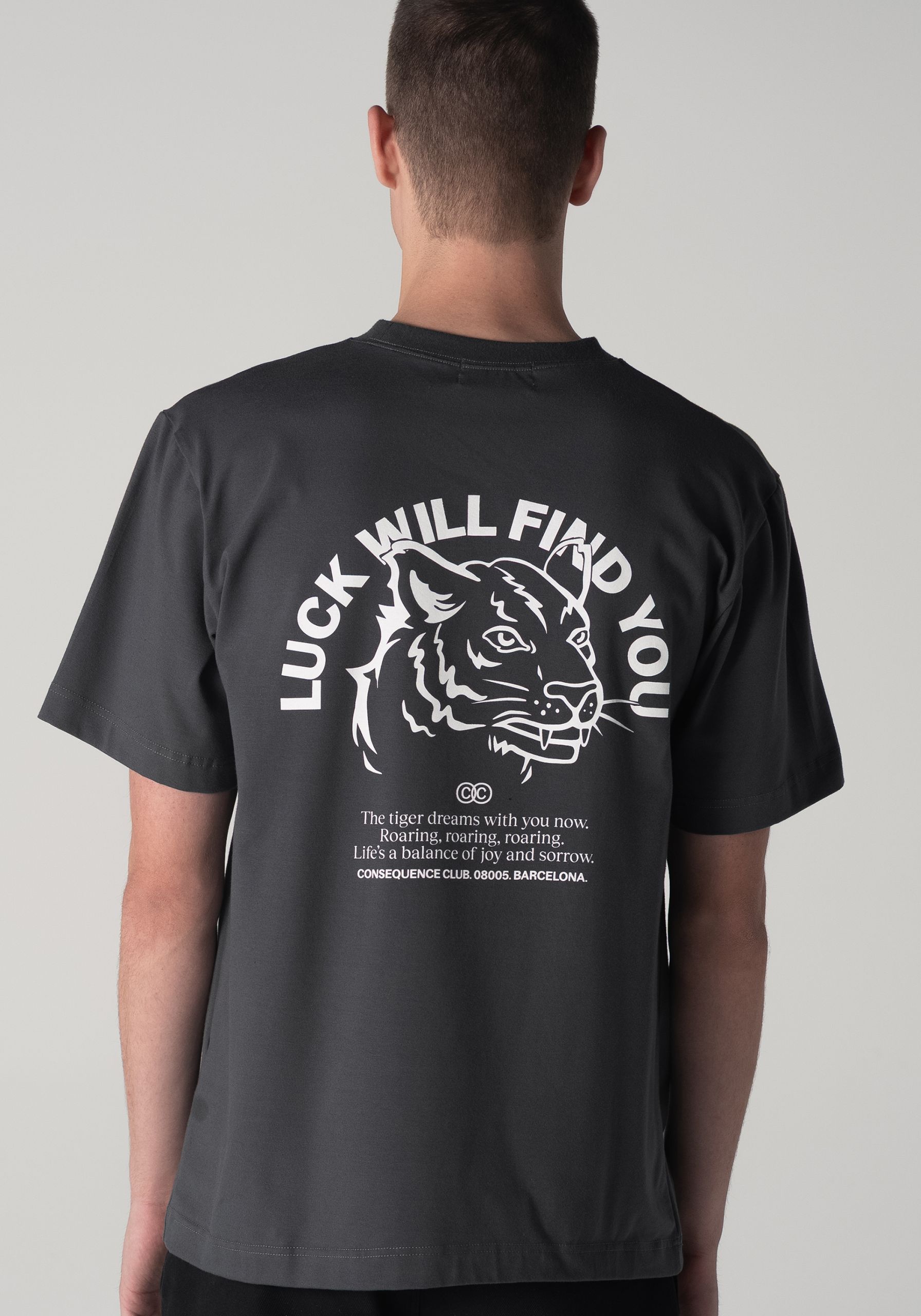 Luck Will Find You T-Shirt Grey
